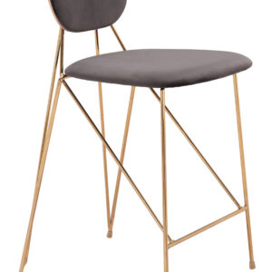 Georges Counter Stool (Set of 2) Gray & Gold