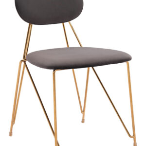 Georges Dining Chair (Set of 2) Gray & Gold