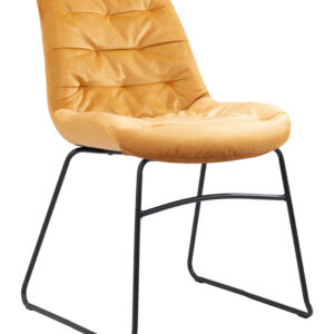 Tammy Dining Chair (Set of 2) Yellow